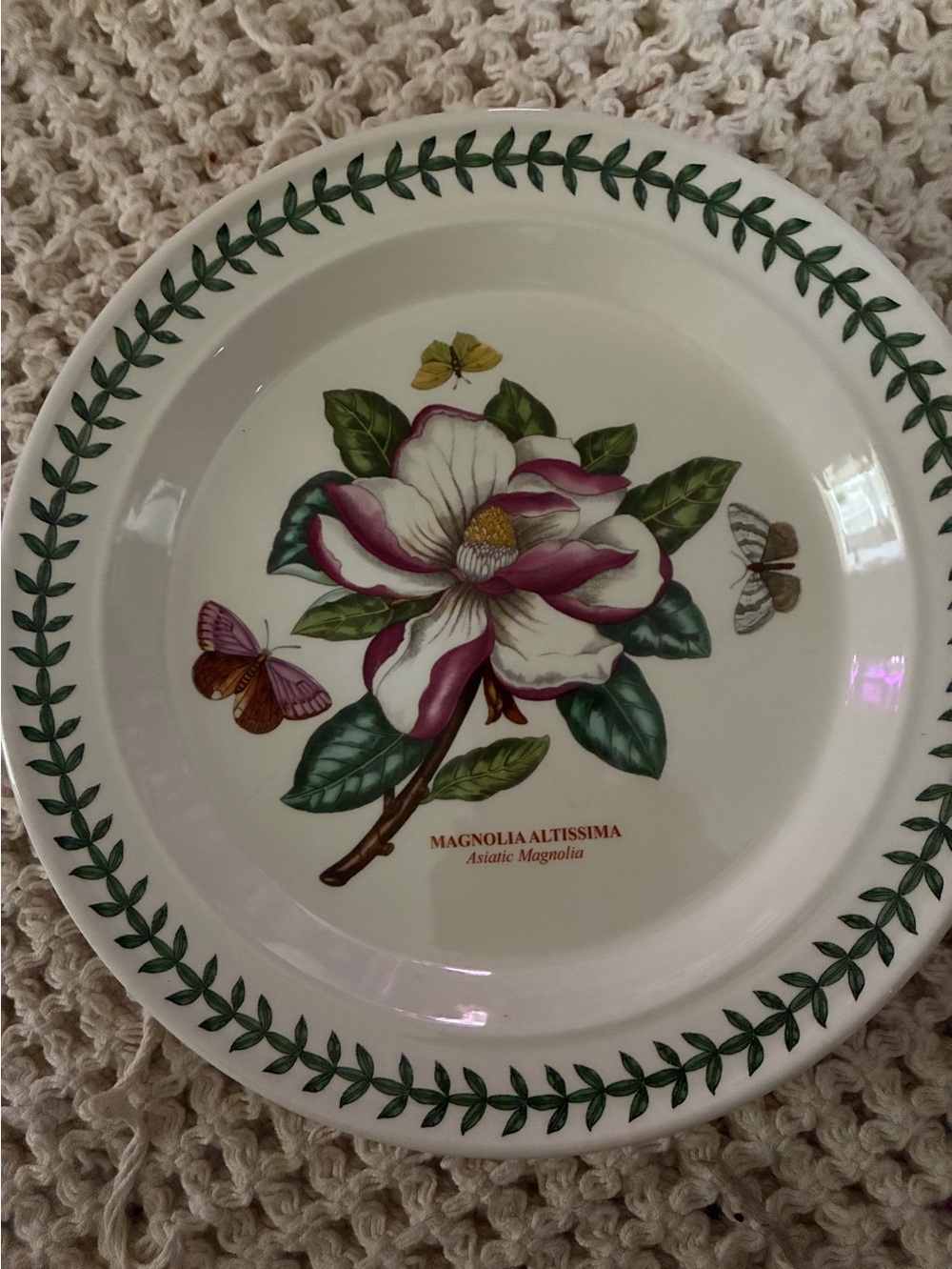 Portmeirion Botanic Garden Magnolia Altissima 10.5" Dinner Plate England